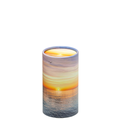 [314 OCN] Miniature Ocean Scattering Tube